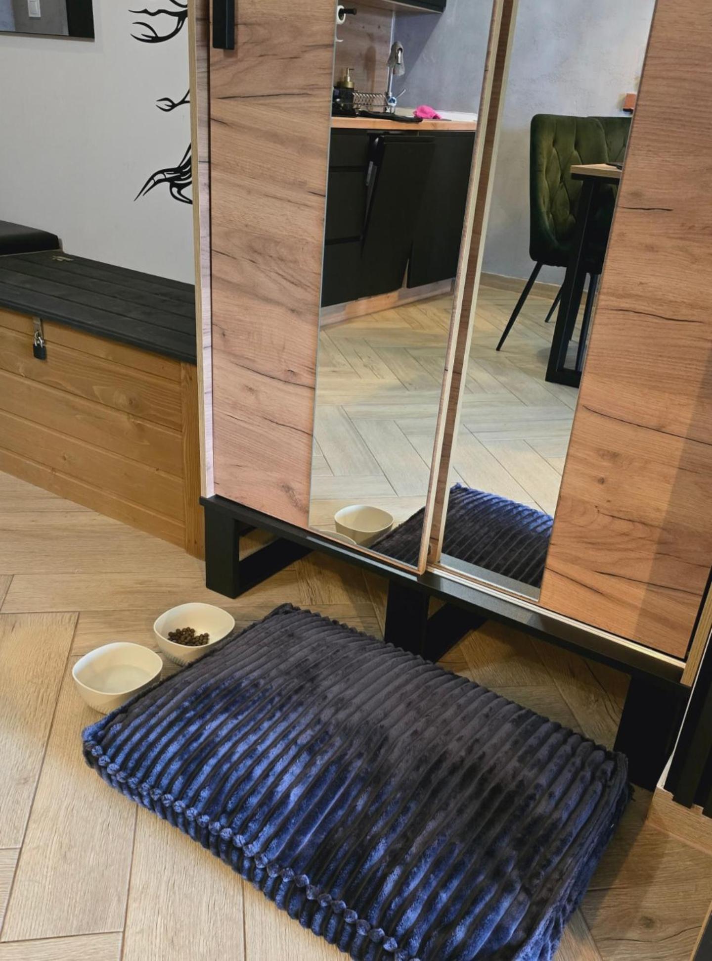 Loft View & Wellness Leilighet Szczyrk